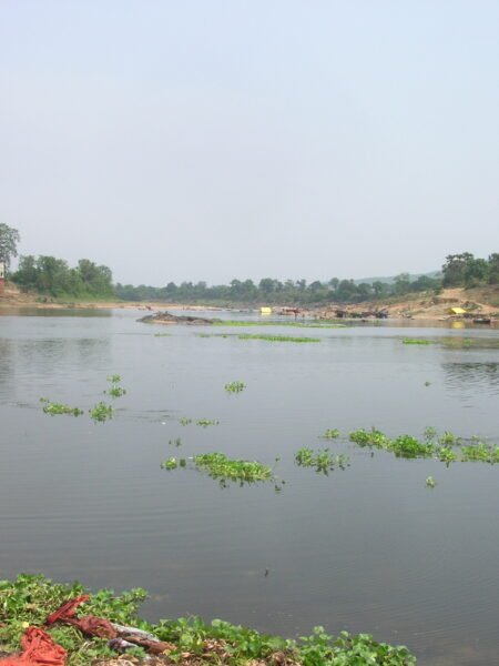 Domuhani 3